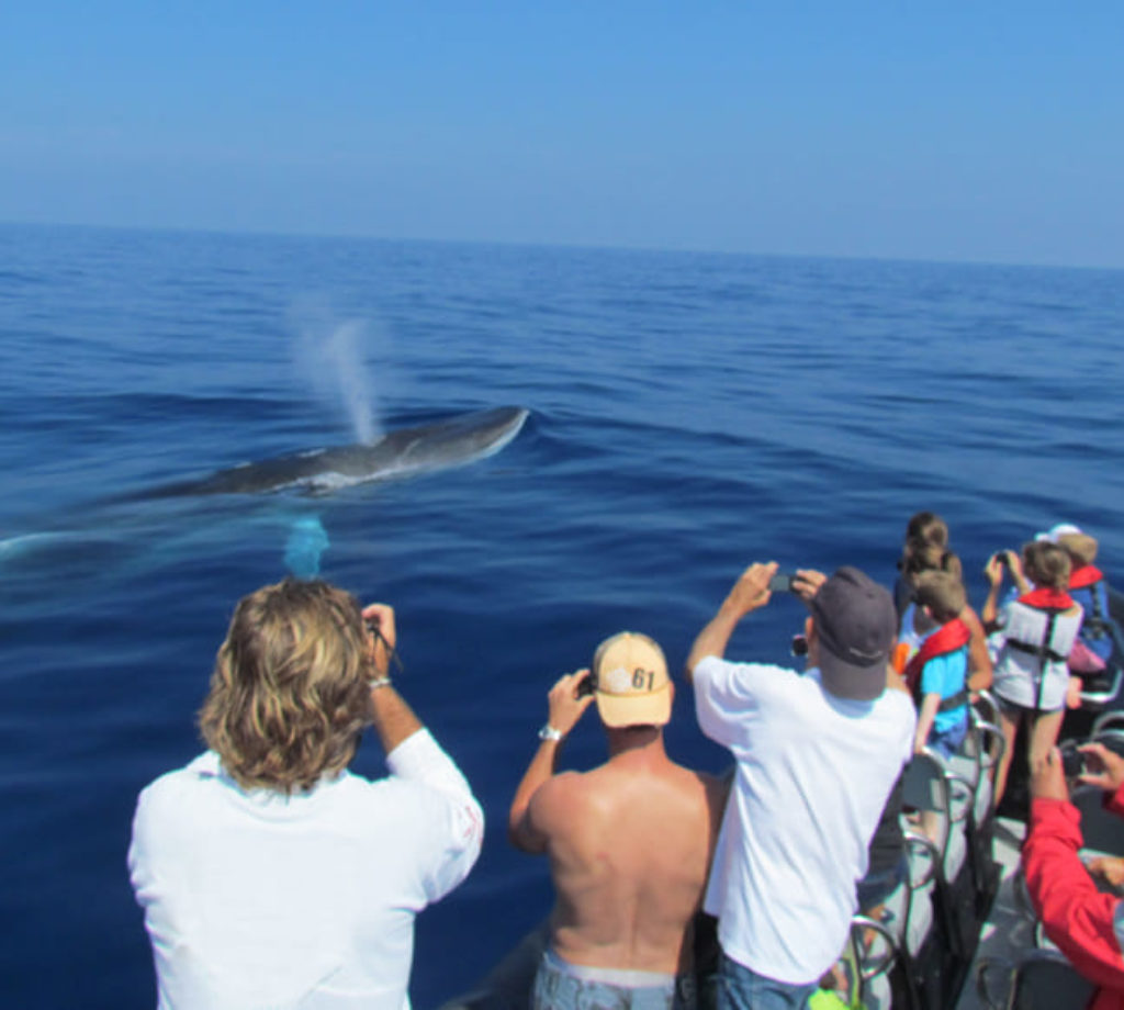 60c27085deb27268920130