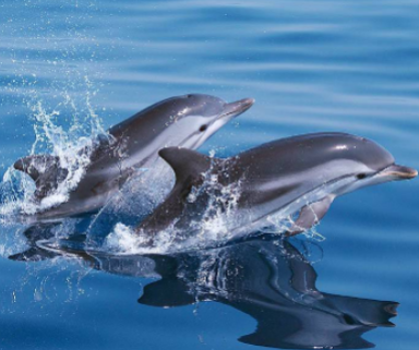 61704fa7cb178898179229 (1)