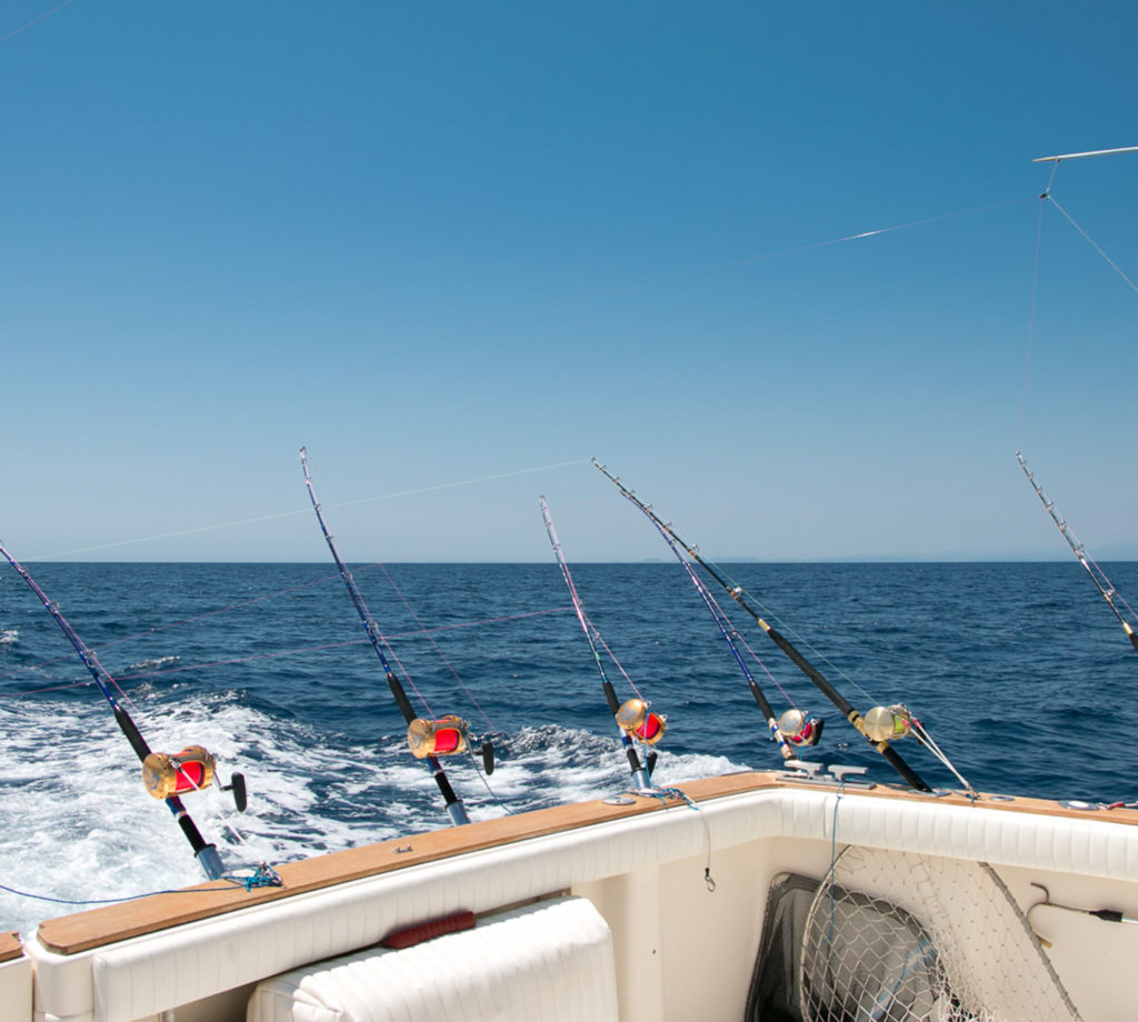 617283943d71b262292373